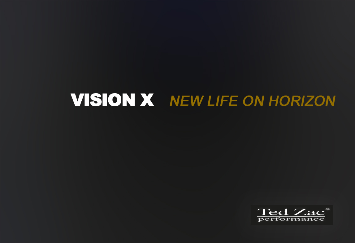 010-VISION-X